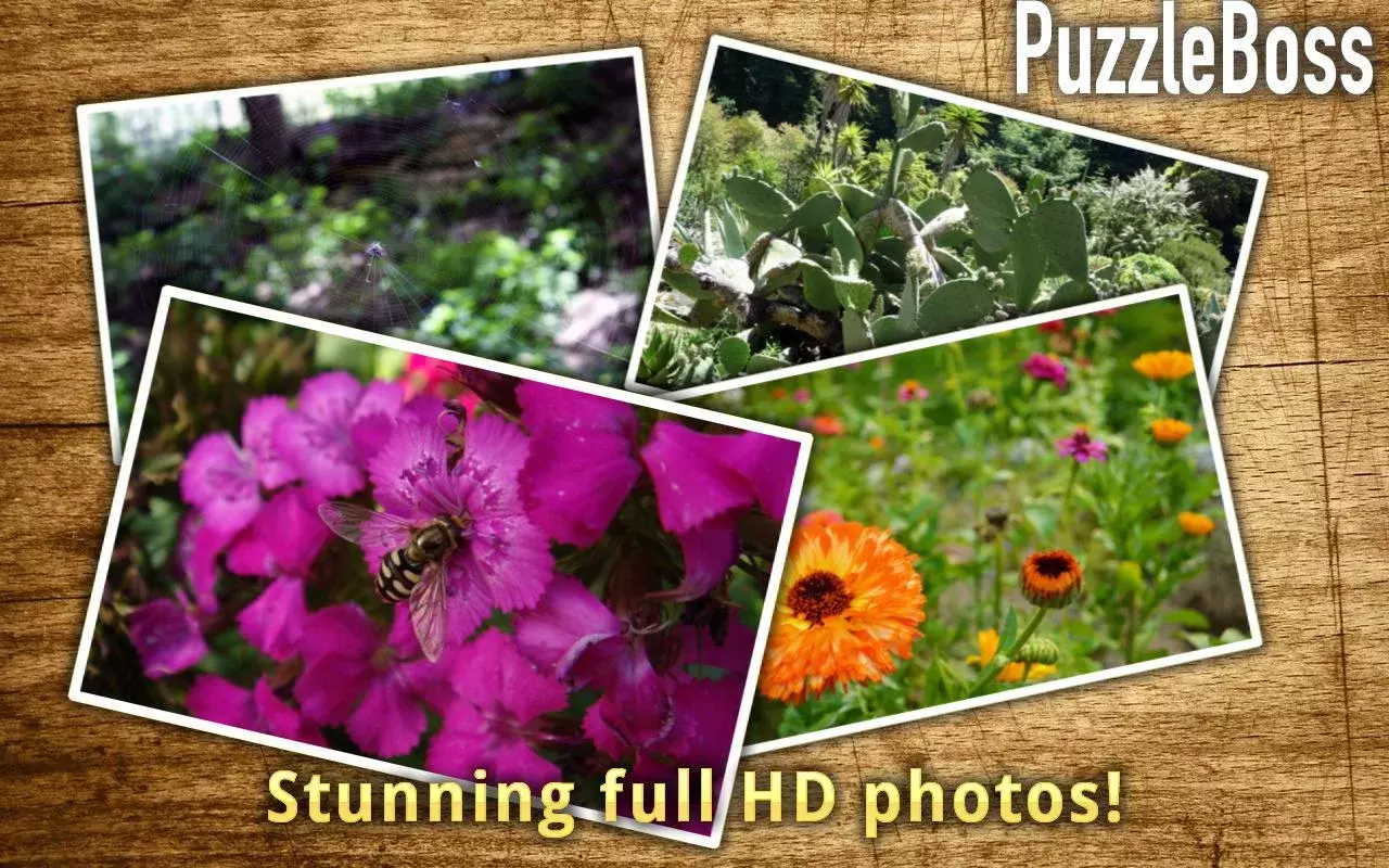 Garden Jigsaw Puzzles FREE截图3