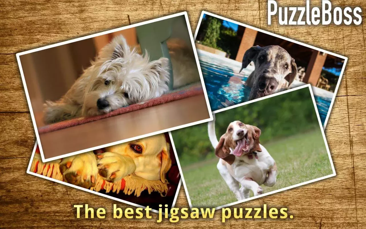 Dog Jigsaw Puzzles FREE截图5