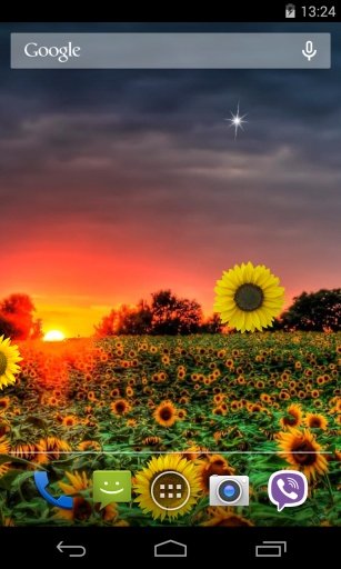 Sunflower Live Wallpaper截图1