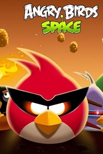 Funny Angry Bird截图8