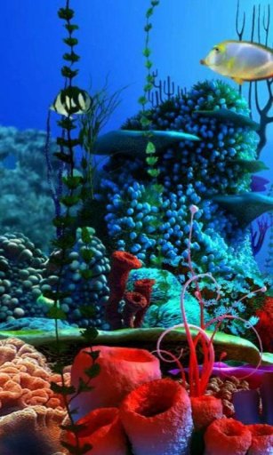 Coral Reef live wallpaper截图3