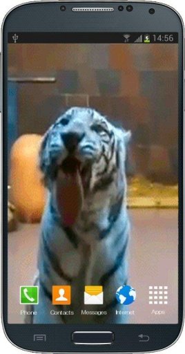 White Tiger Licks Screen LWP截图2