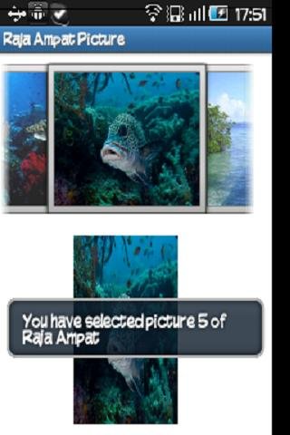 Raja Ampat Picture截图1