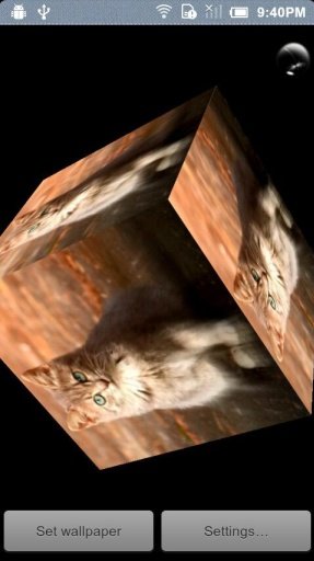 Cats 3D Cube Live Wallpaper截图6