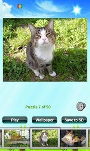 Cat Puzzles截图2