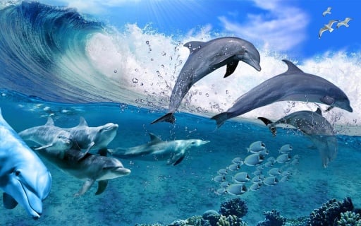 Happy Dolphins Live Wallpaper截图2