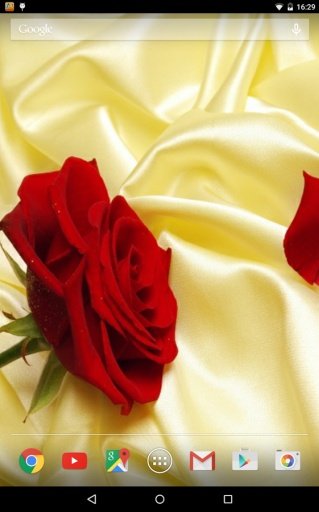 Rose Wallpapers Free截图4