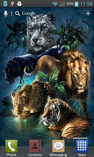 Big Cats Live Wallpaper截图5