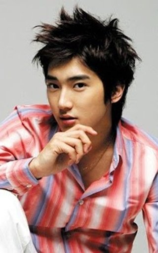 Choi Siwon Games 최시원截图5