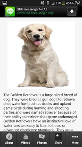 Golden Retriever Info App截图4