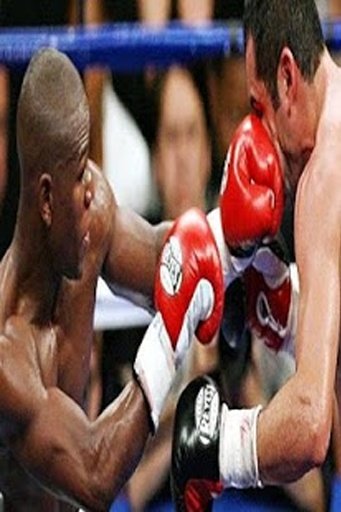 Boxing Fight HD Game截图4