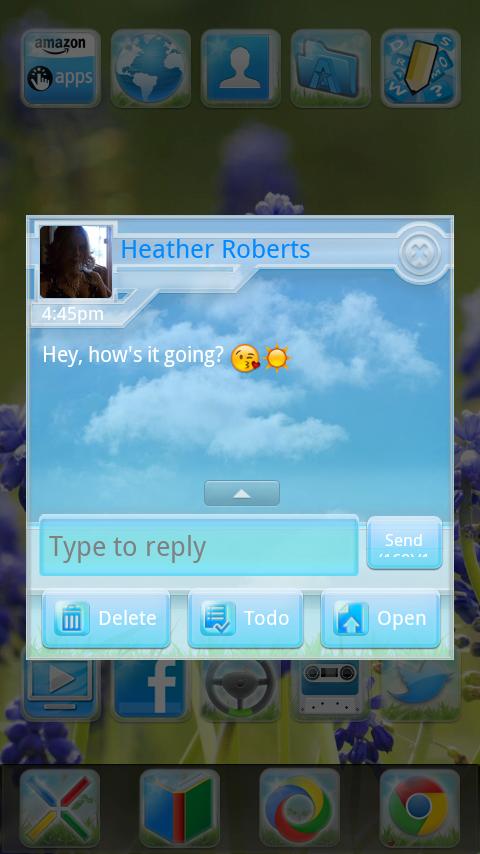 Summer Free GO SMS Theme截图8