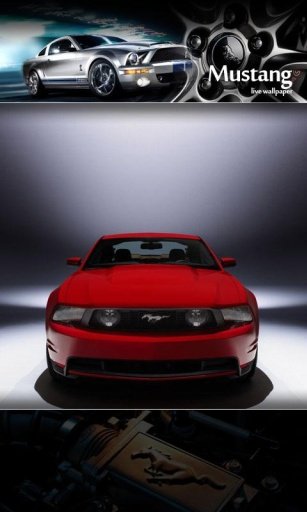 Mustang GP Rally LiveWallpaper截图2