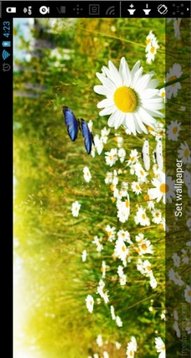 Butterfly Spring LiveWallpaper截图