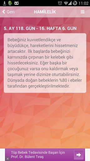 Hamilelik (Gebelik) G&uuml;n G&uuml;n截图4