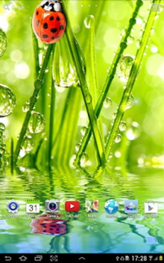 Macro Photos Live Wallpaper截图2