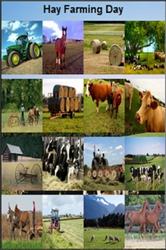 Hay Farming Day截图6