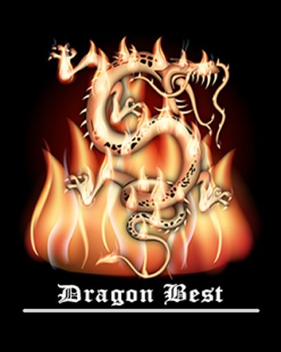 Dragon Best截图10