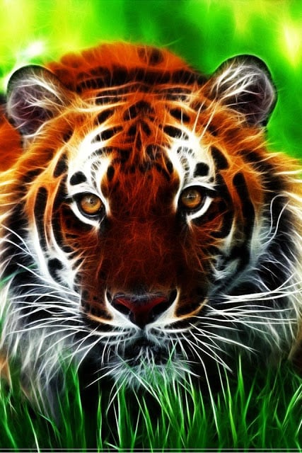 Tiger Wallpaper截图3