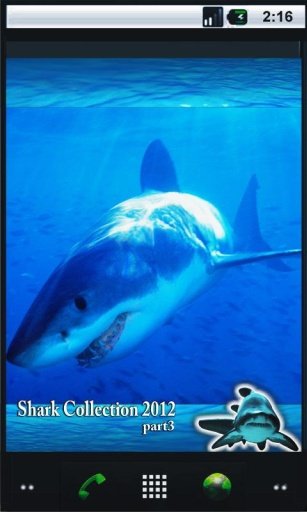 Shark Best HD Live Wallpaper截图1