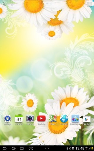 Daisies Live Wallpaper截图1