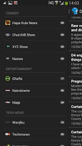 Kenya Newsfeed截图7
