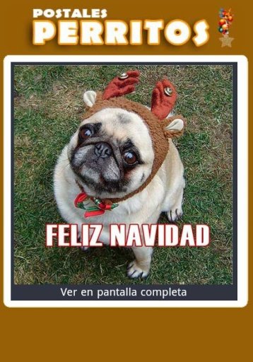 Tarjetas Navide&ntilde;as Perritos截图4