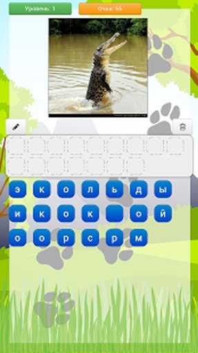 Wild Animal Quiz截图4