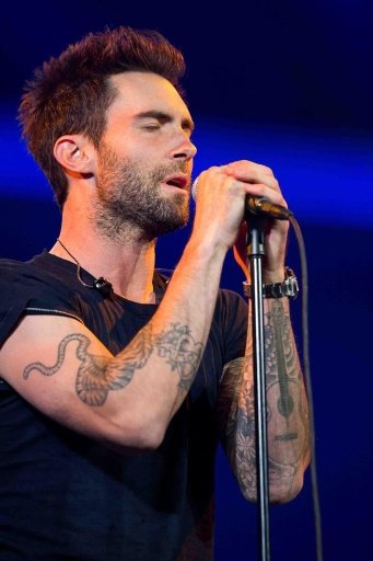 Adam Levine Wallpaper截图2