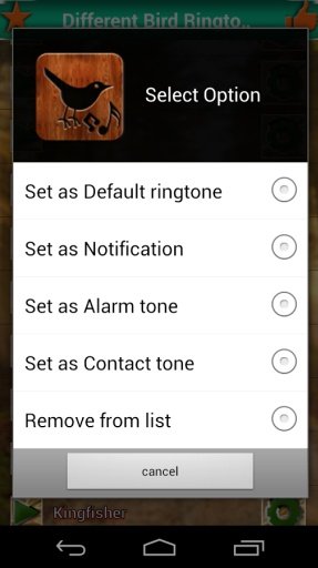 Bird Sounds Ringtones截图3