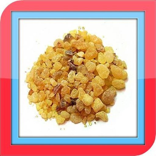 Frankincense Essential Oil截图4