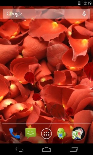 Rose petals Live Wallpaper截图4