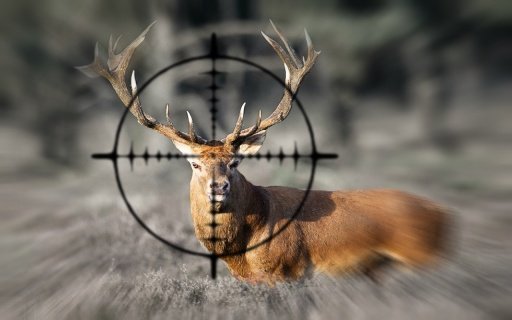 Deer Carnivores Hunter截图2