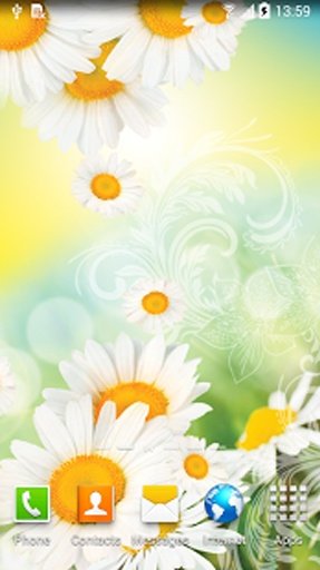 Daisies Live Wallpaper截图6