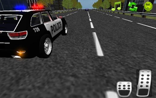 Police Car Driving Game 3D截图2