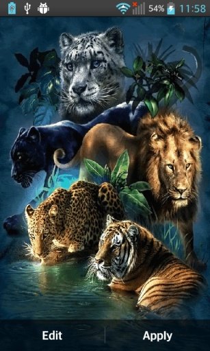 Big Cats Live Wallpaper截图4