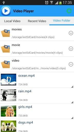 HD Video Player for Android截图3