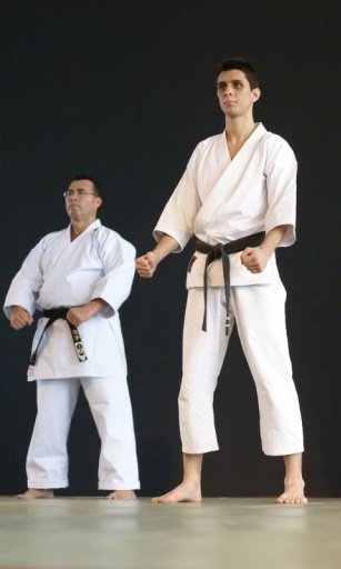 Karate - Martial Arts截图5