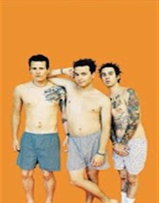 Blink 182 Wallpapers截图3