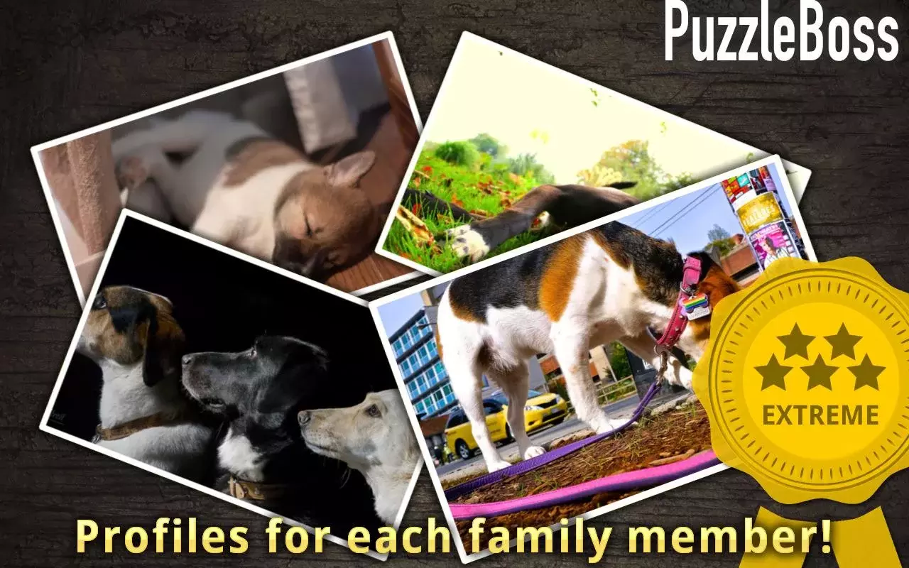 Dog Jigsaw Puzzles FREE截图4