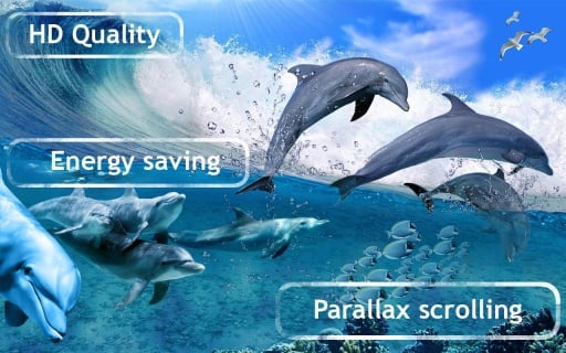 Happy Dolphins Live Wallpaper截图1