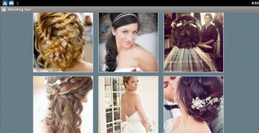 Wedding Hairstyles截图9