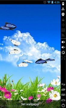 Butterfly Spring LiveWallpaper截图