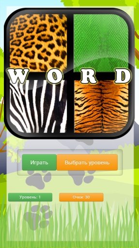 Wild Animal Quiz截图5