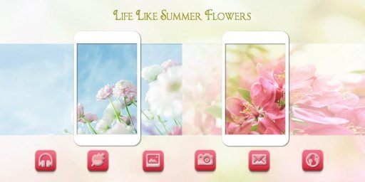 Solo Summer Flowers Theme截图4