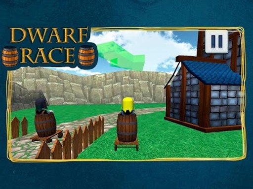 Dwarf Race截图1