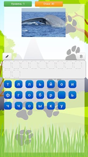 Wild Animal Quiz截图1