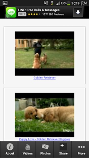 Golden Retriever Info App截图2