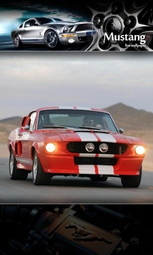 Mustang GP Rally LiveWallpaper截图1