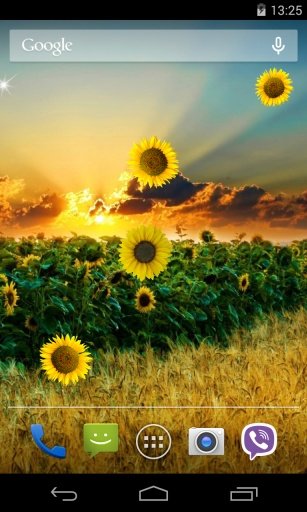 Sunflower Live Wallpaper截图3
